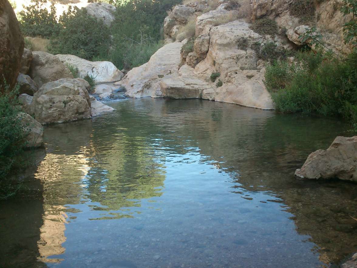 צילום: מרדכי לאש